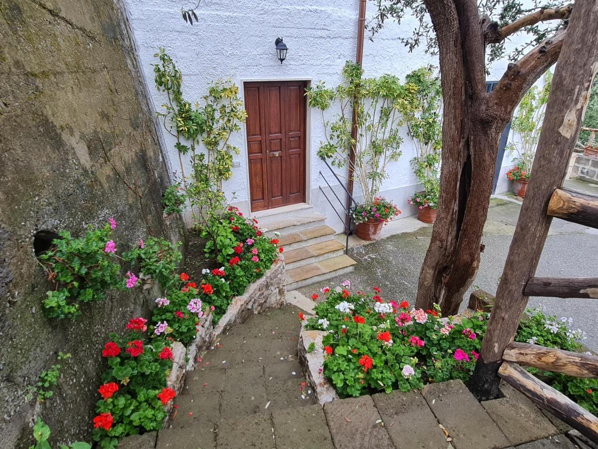 Casa Betania Da Peppe Villa Sorrento Exteriör bild